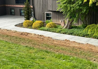 Modern dark wood house with large windows, a concrete path, and lush greenery. Lawn in foreground.